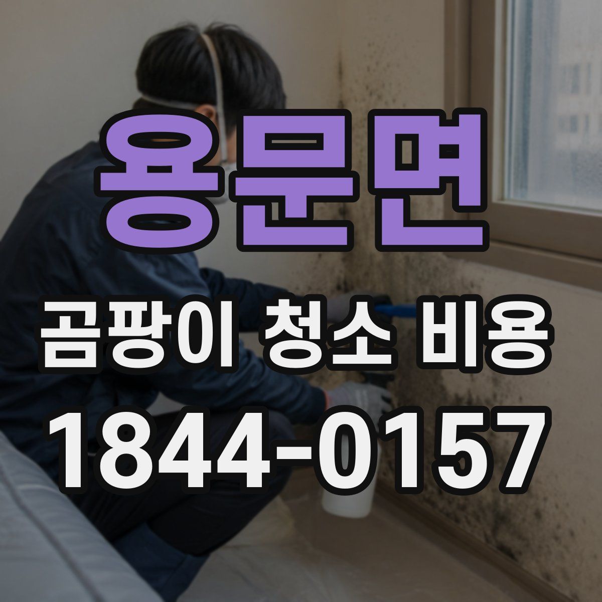 용문면 곰팡이 청소 비용