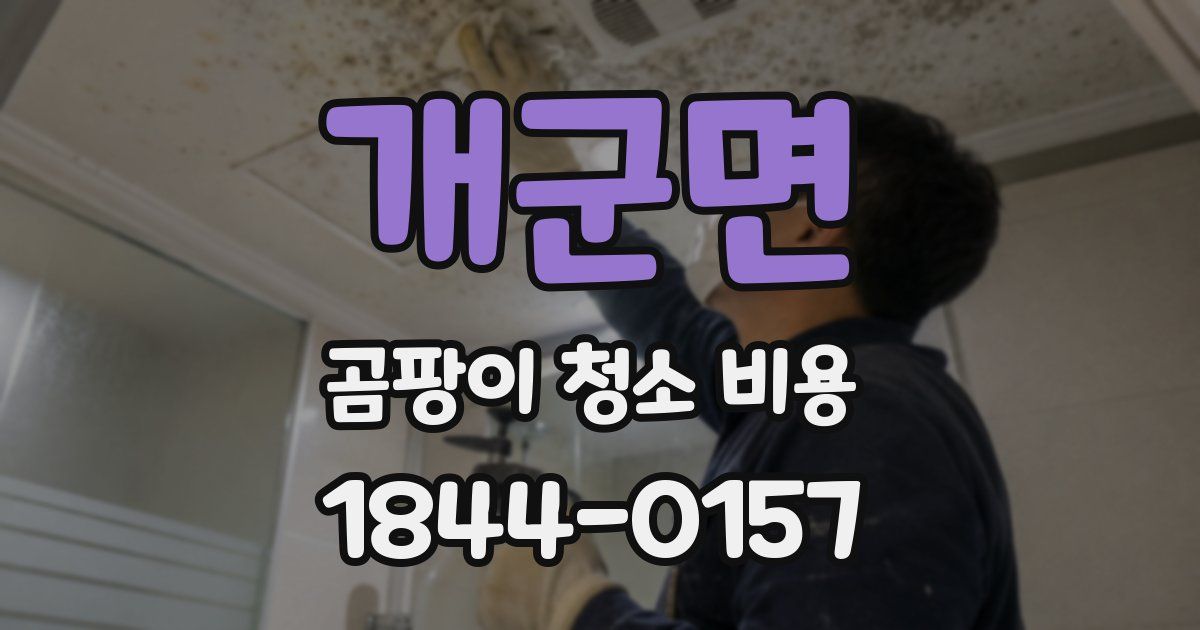 개군면 곰팡이 청소 비용