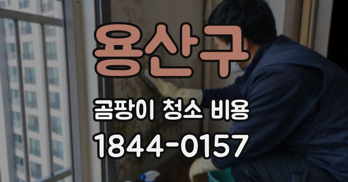 용산구 곰팡이 청소 비용