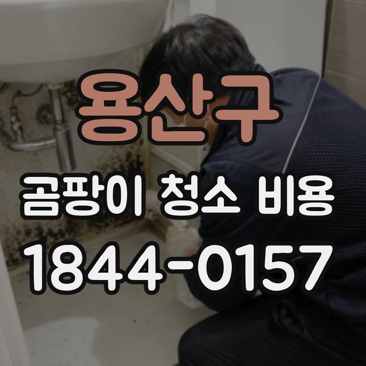 용산구 곰팡이 청소 비용