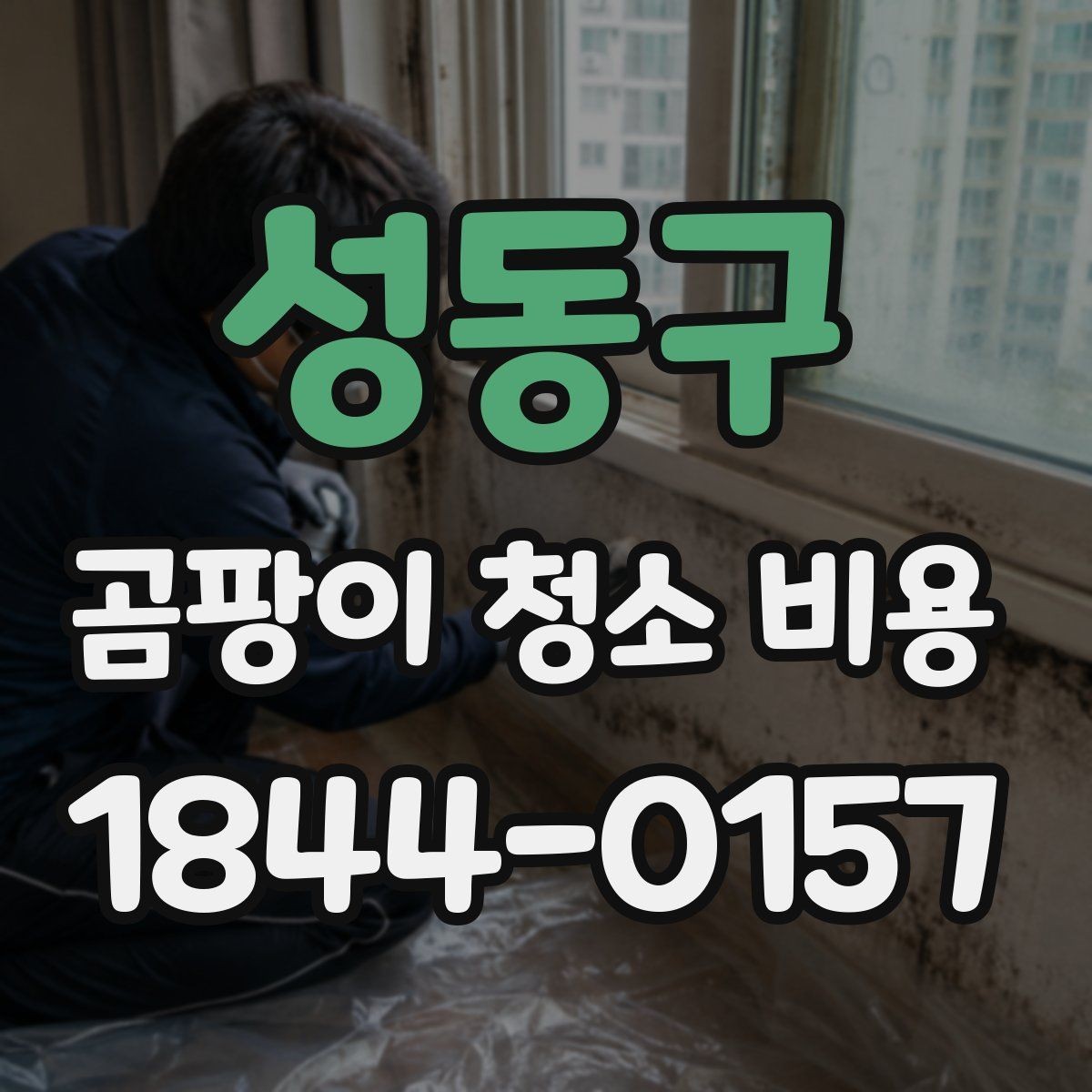 성동구 곰팡이 청소 비용 범위가 넓어진 현장에서 먼저 확인할 점