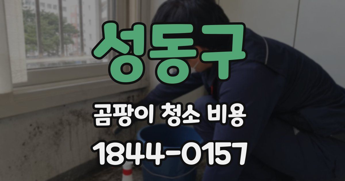 성동구 곰팡이 청소 비용