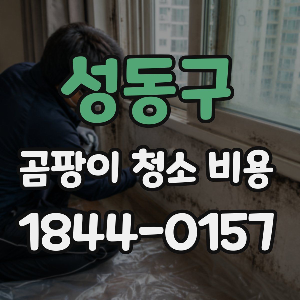 성동구 곰팡이 청소 비용