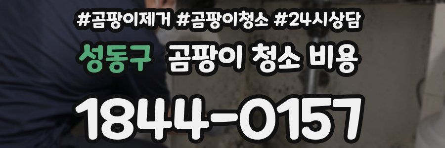 성동구 곰팡이 청소 비용