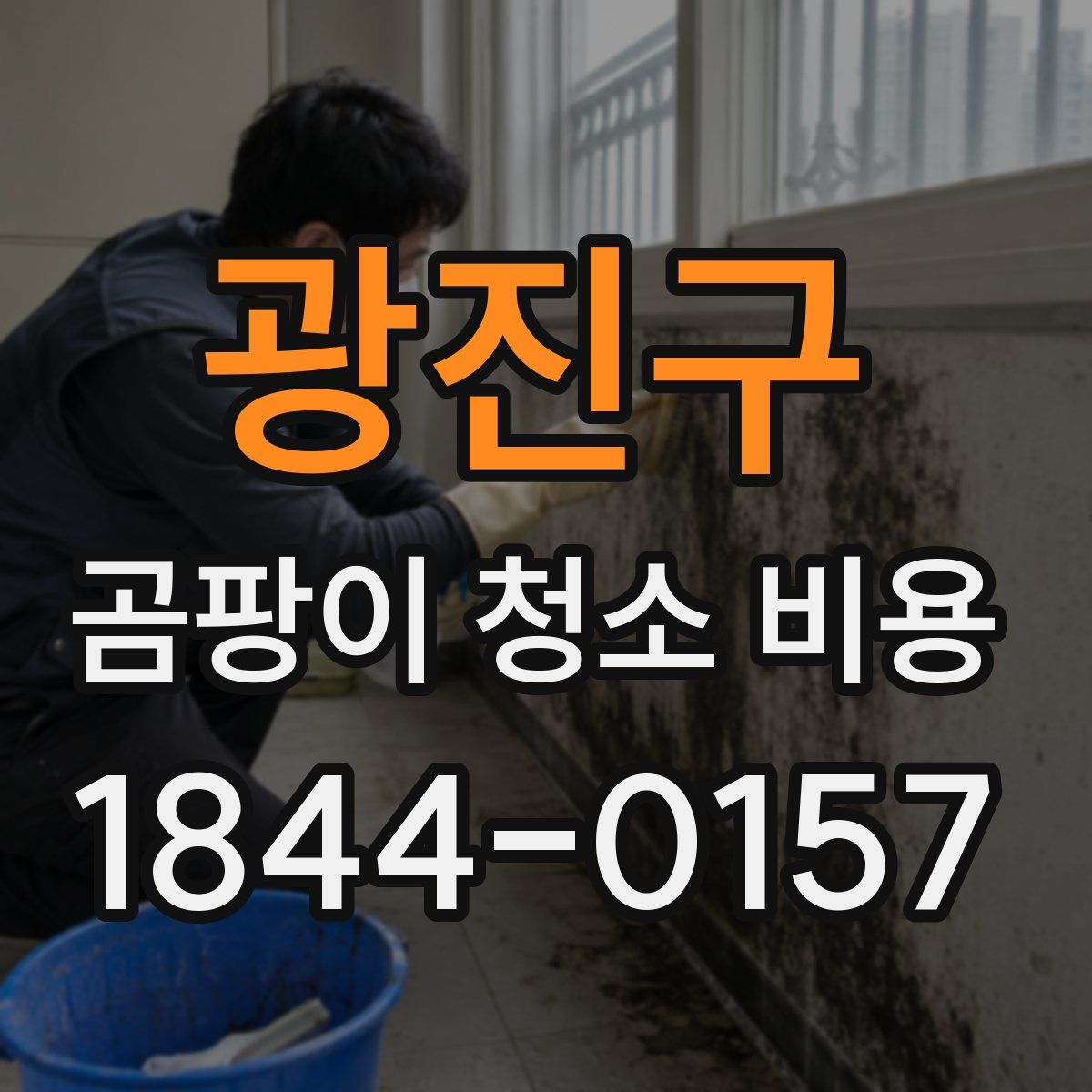 광진구 곰팡이 청소 비용