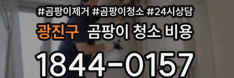 광진구 곰팡이 청소 비용