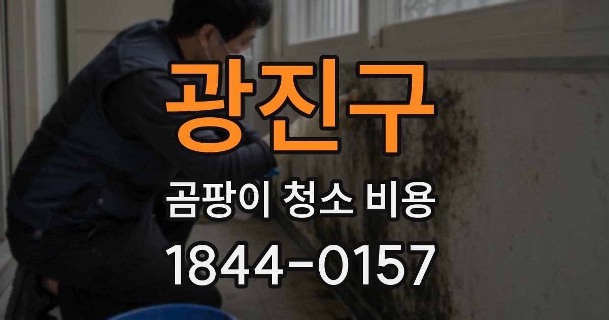 광진구 곰팡이 청소 비용