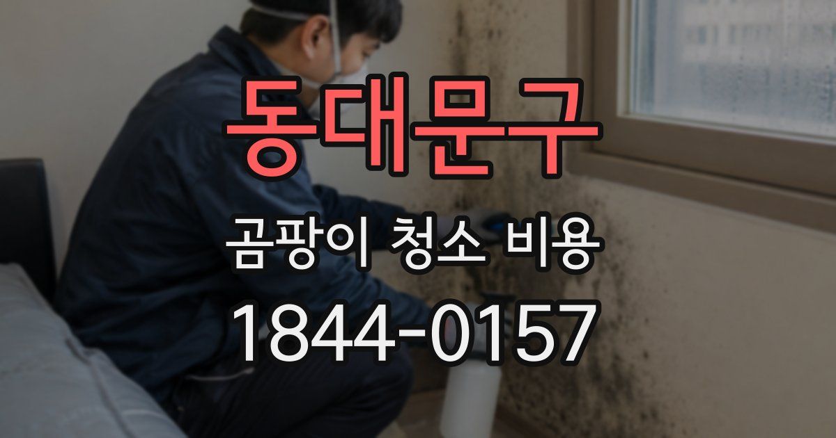 동대문구 곰팡이 청소 비용