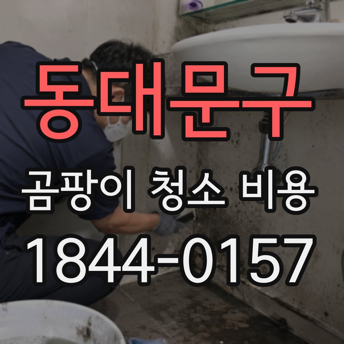 동대문구 곰팡이 청소 비용