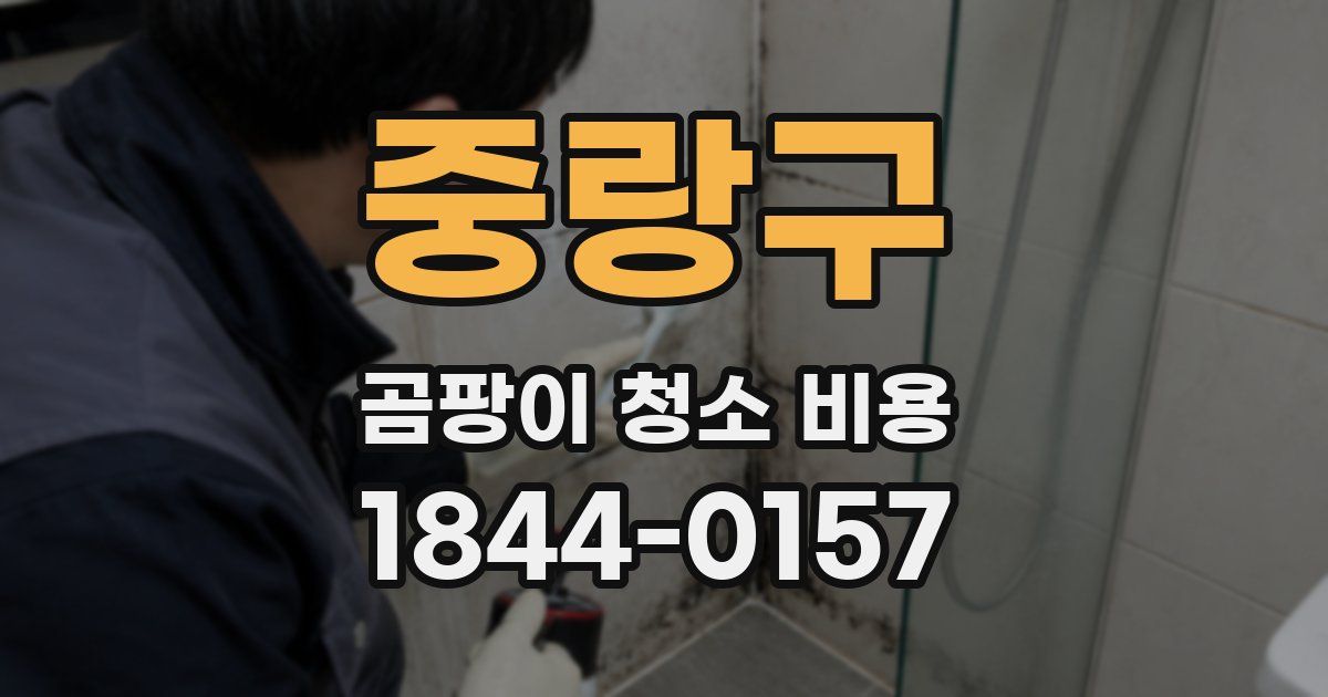 중랑구 곰팡이 청소 비용