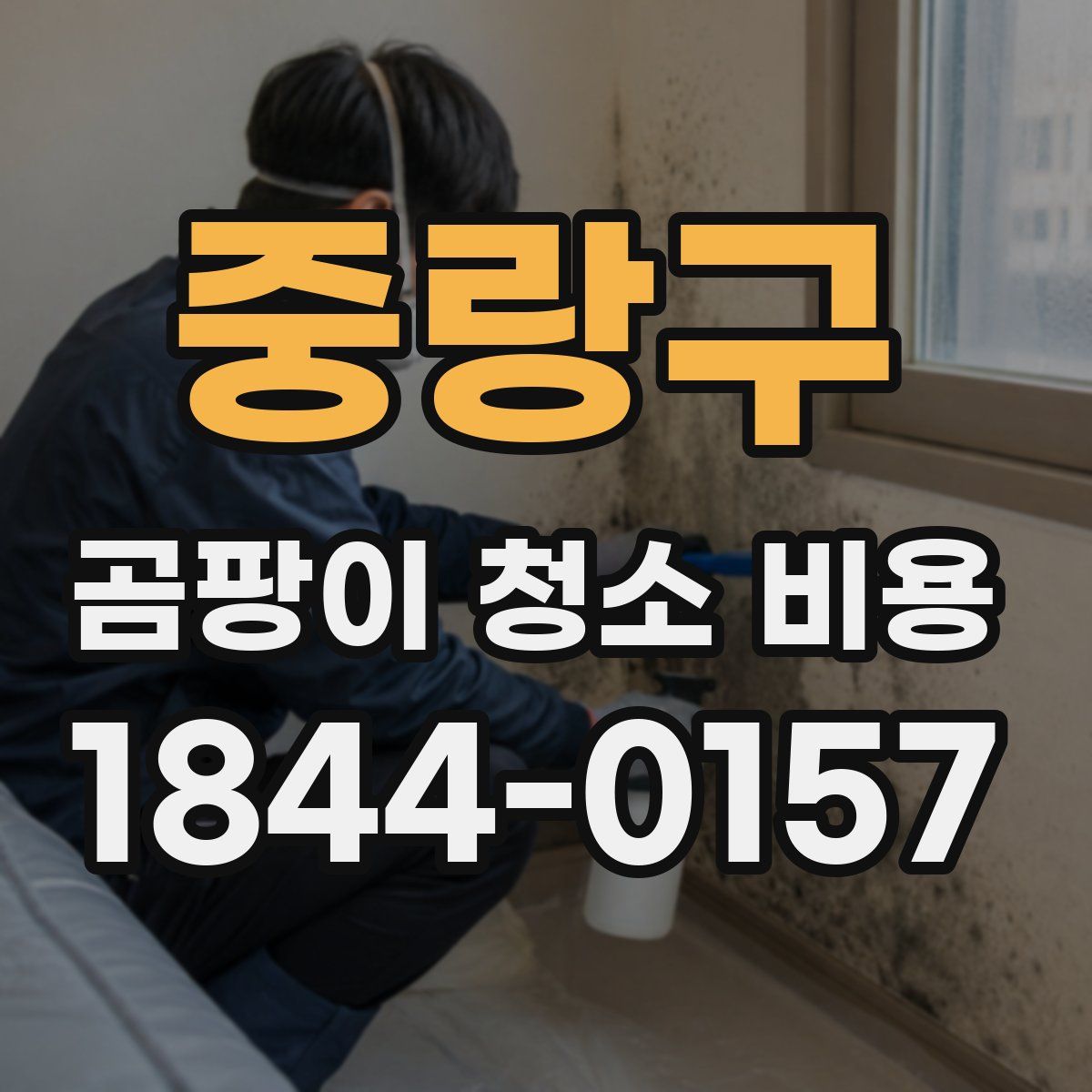 중랑구 곰팡이 청소 비용