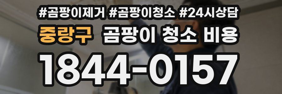 중랑구 곰팡이 청소 비용