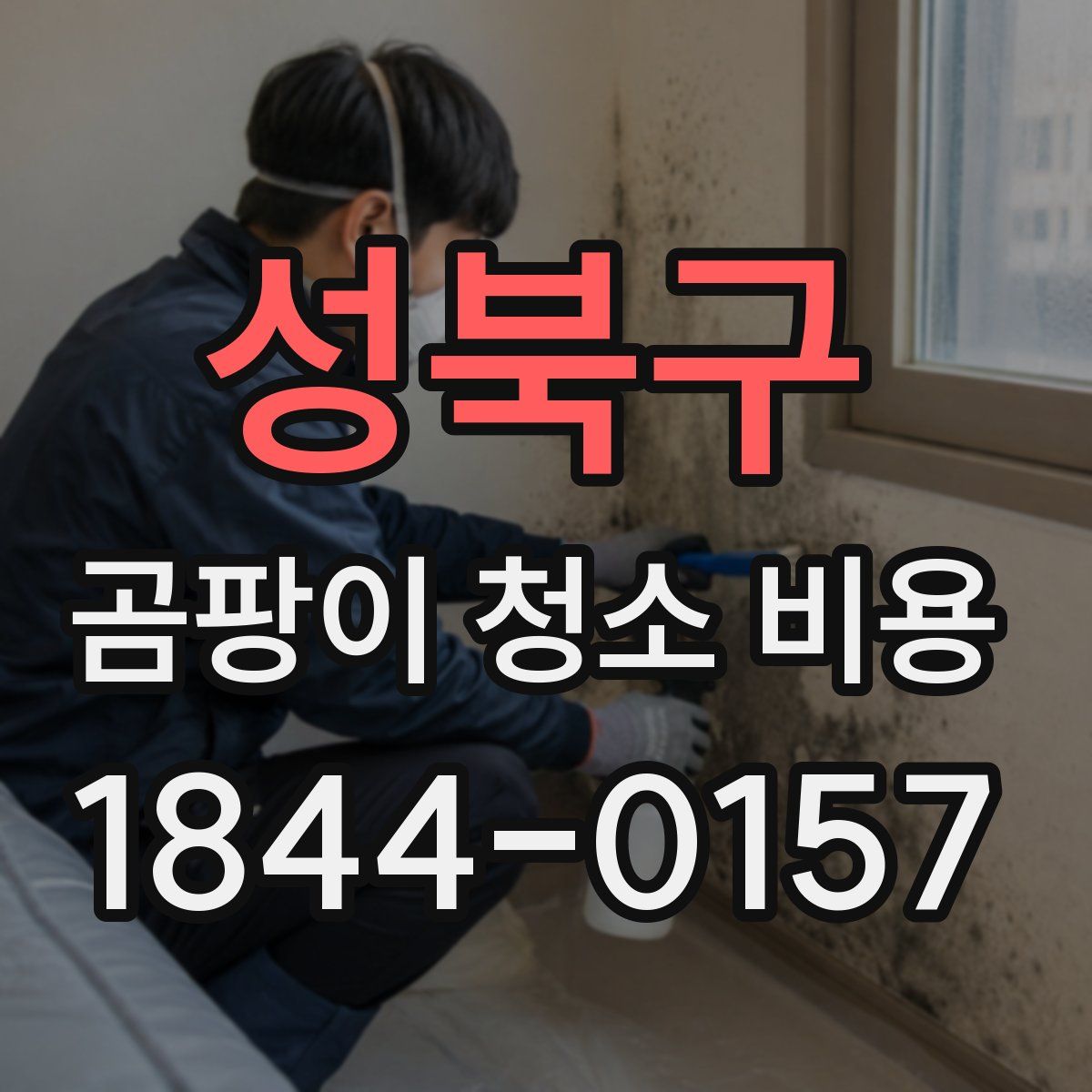 성북구 곰팡이 청소 비용