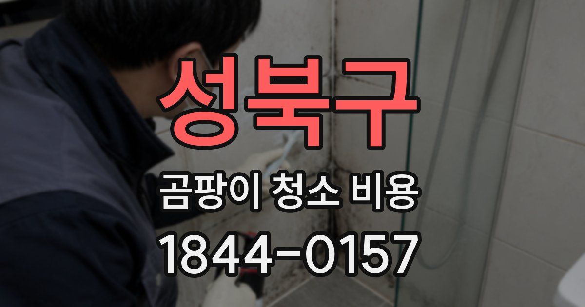 성북구 곰팡이 청소 비용