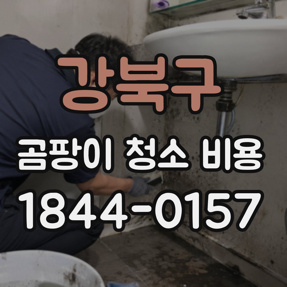 강북구 곰팡이 청소 비용