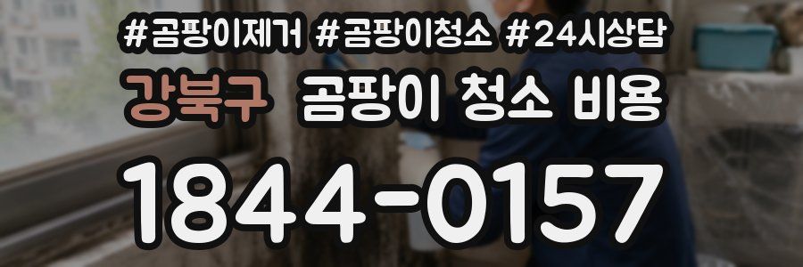 강북구 곰팡이 청소 비용
