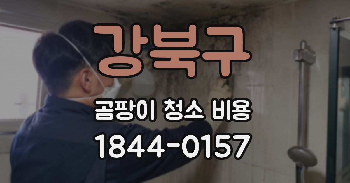 강북구 곰팡이 청소 비용