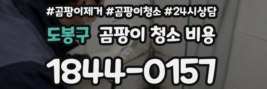 도봉구 곰팡이 청소 비용
