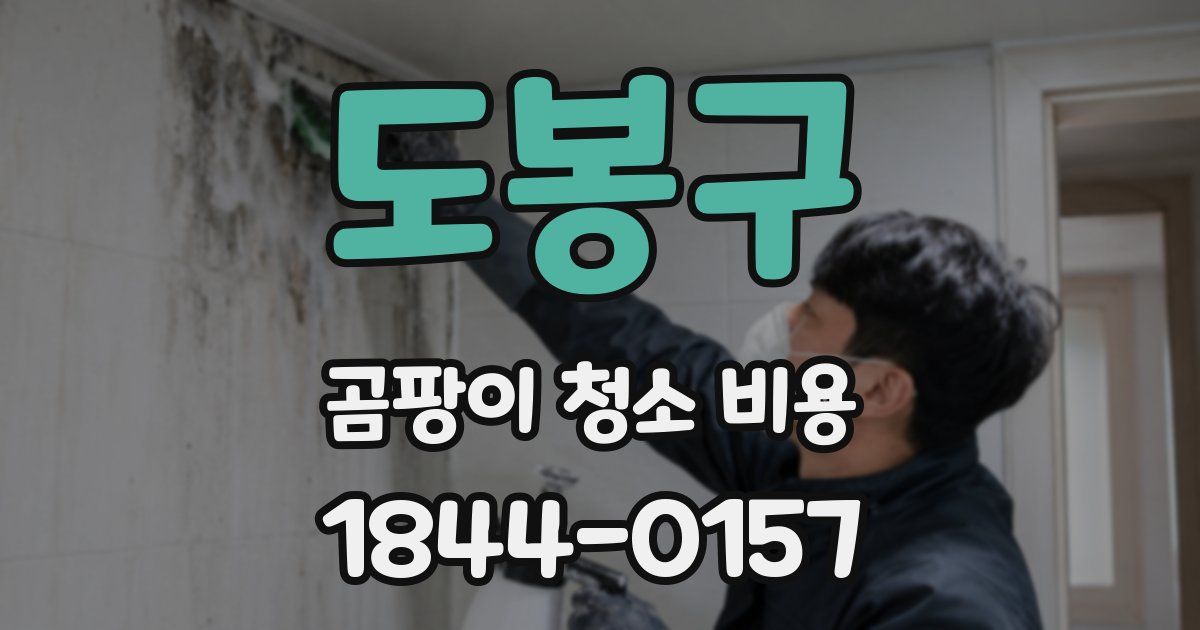 도봉구 곰팡이 청소 비용