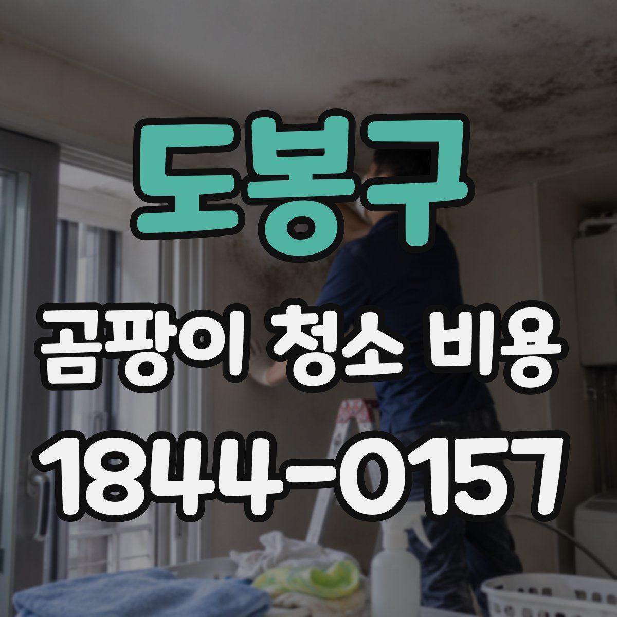 도봉구 곰팡이 청소 비용