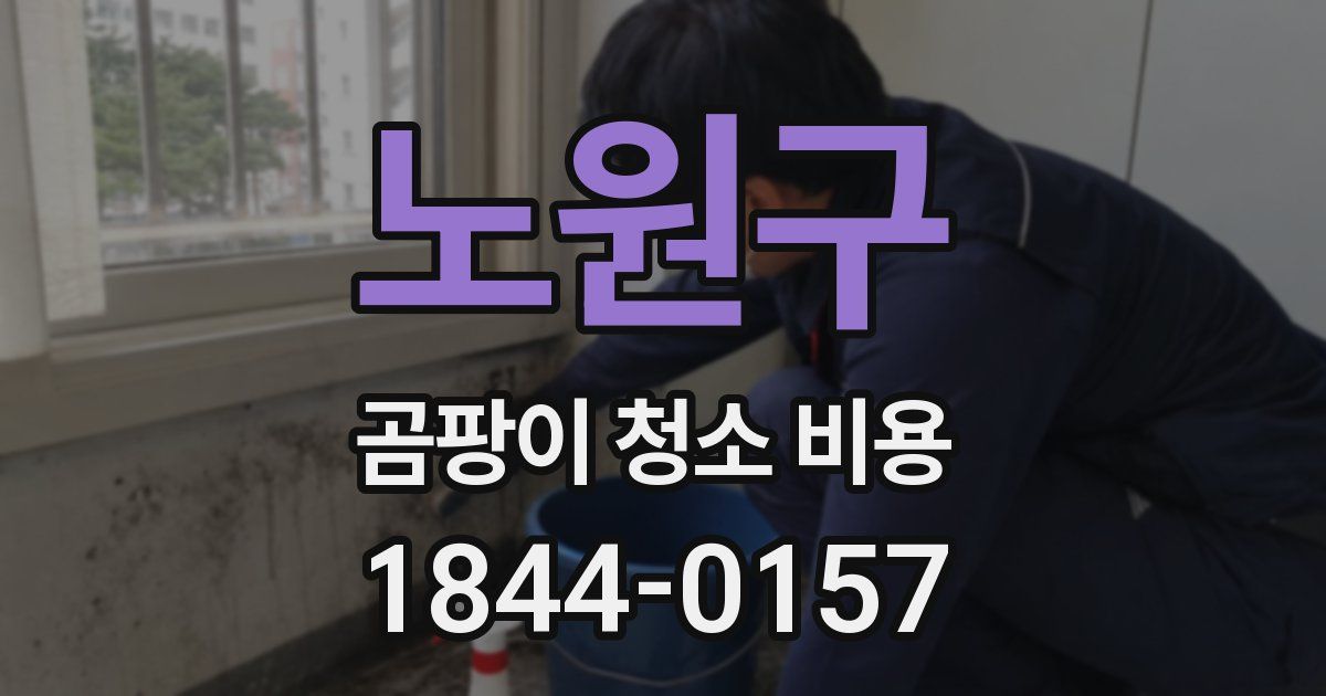 노원구 곰팡이 청소 비용