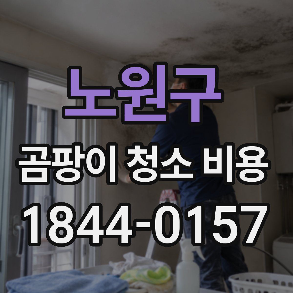 노원구 곰팡이 청소 비용