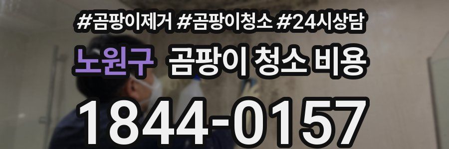 노원구 곰팡이 청소 비용