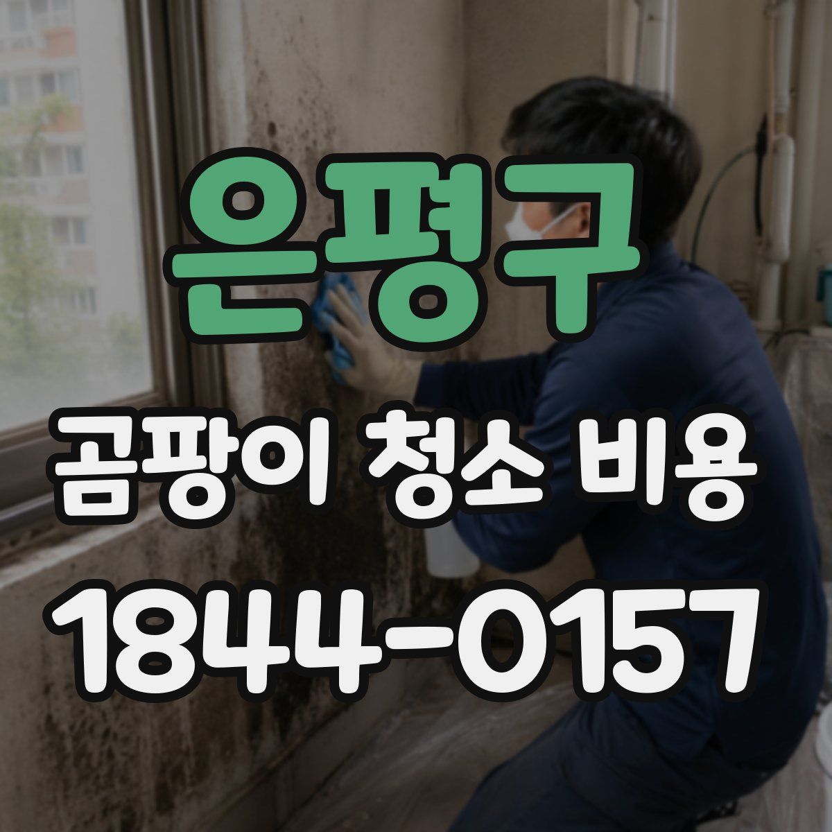 은평구 곰팡이 청소 비용