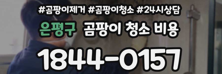 은평구 곰팡이 청소 비용