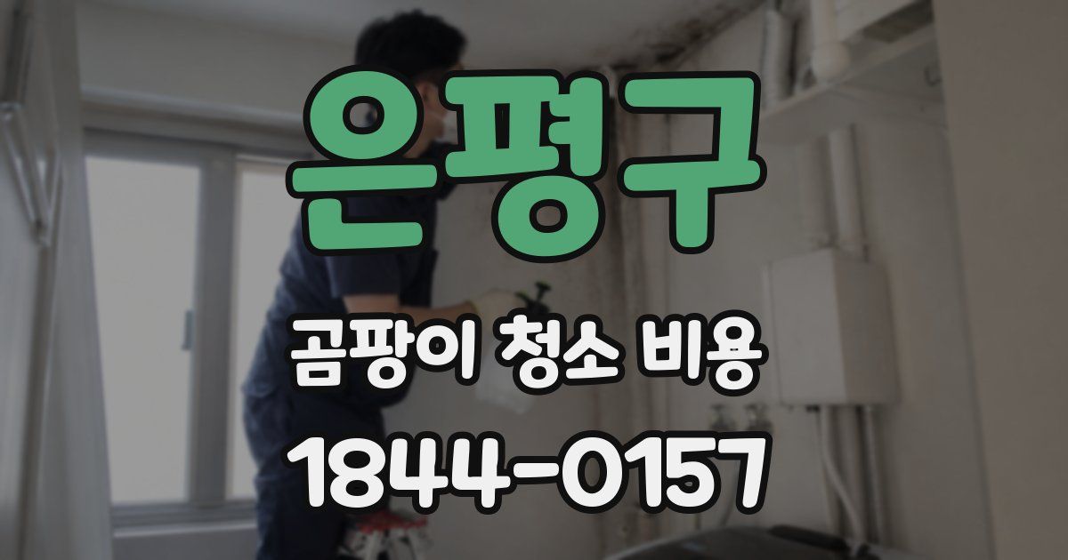 은평구 곰팡이 청소 비용