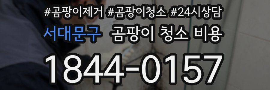서대문구 곰팡이 청소 비용