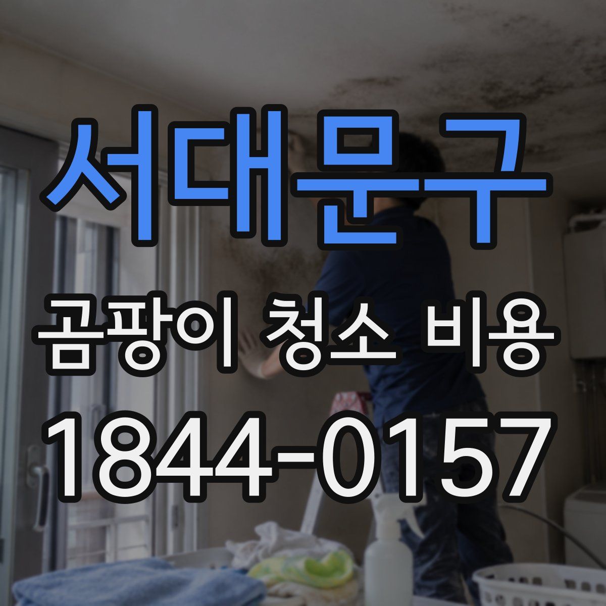 서대문구 곰팡이 청소 비용