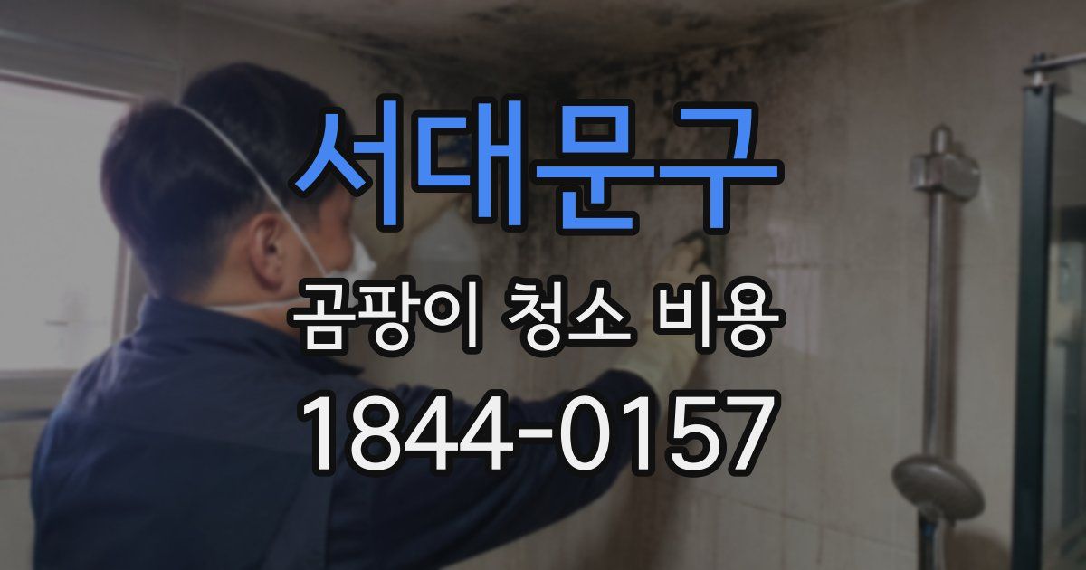 서대문구 곰팡이 청소 비용