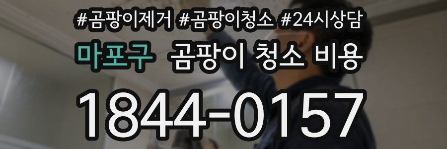 마포구 곰팡이 청소 비용