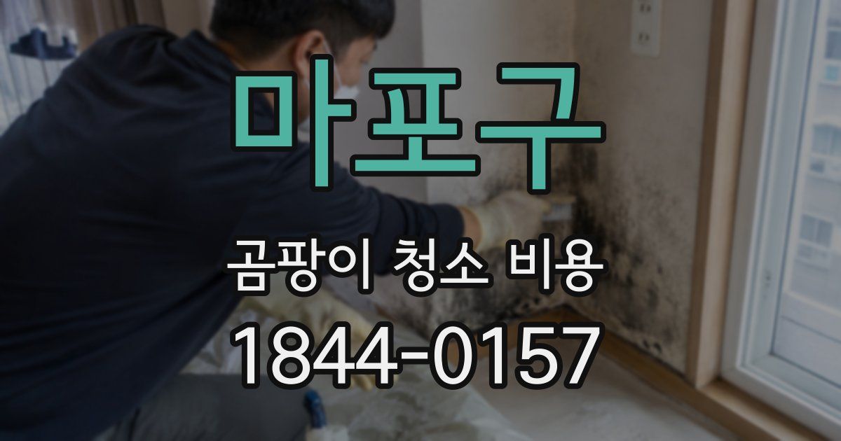 마포구 곰팡이 청소 비용