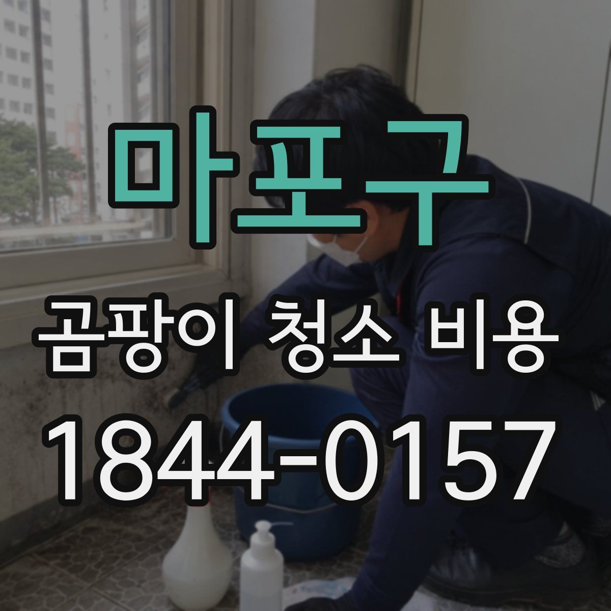 마포구 곰팡이 청소 비용