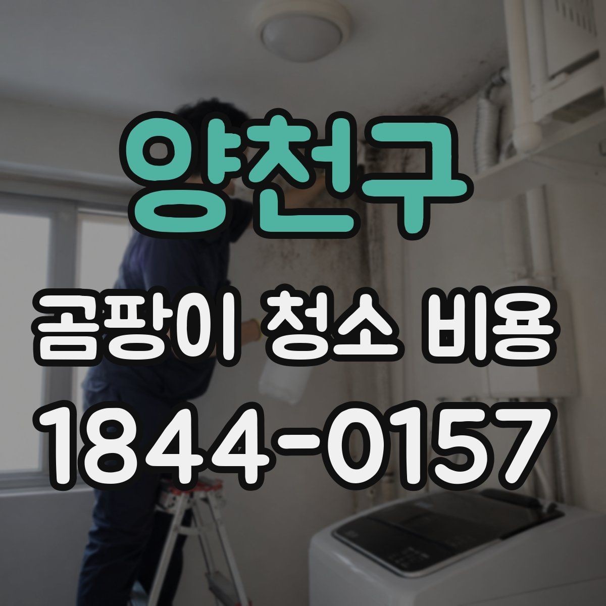 양천구 곰팡이 청소 비용 습기와 냄새가 함께 날 때 확인할 점