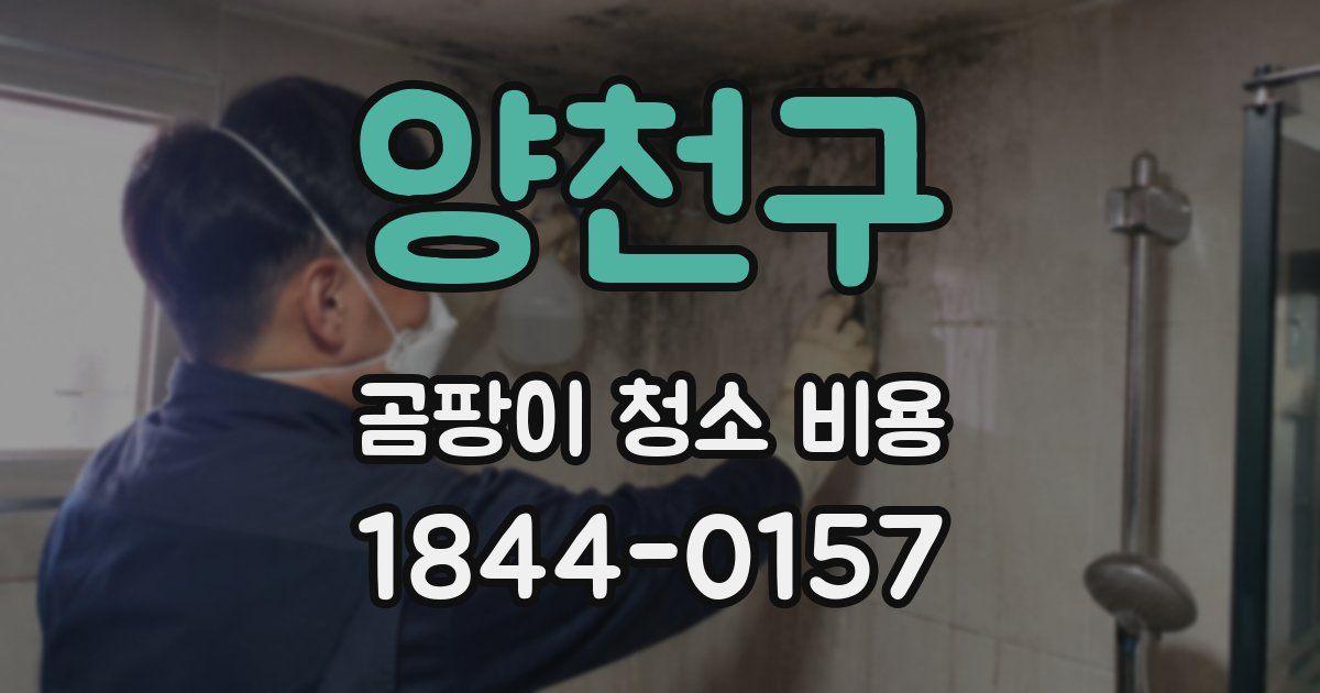 양천구 곰팡이 청소 비용