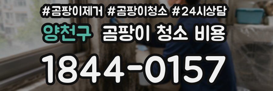 양천구 곰팡이 청소 비용