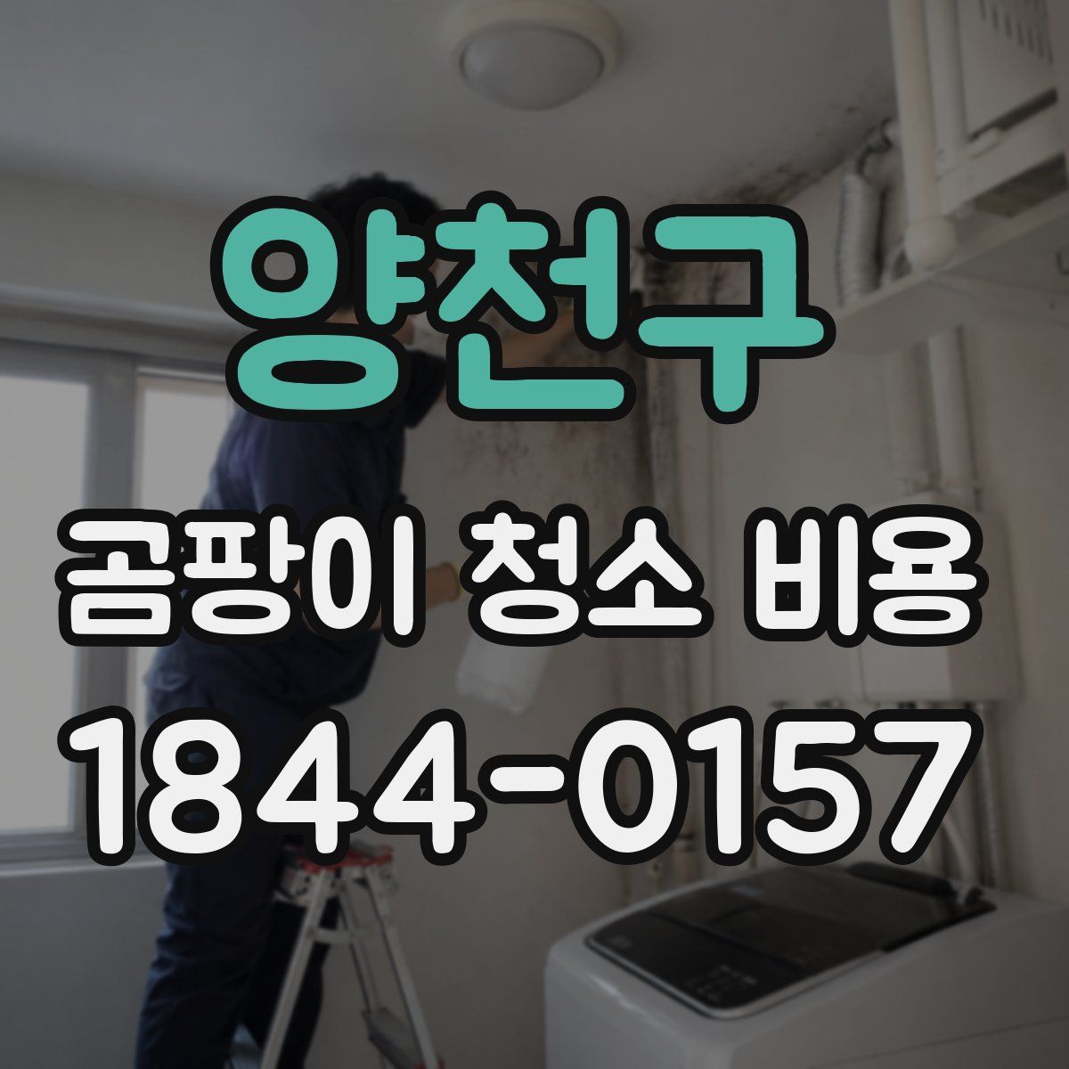 양천구 곰팡이 청소 비용