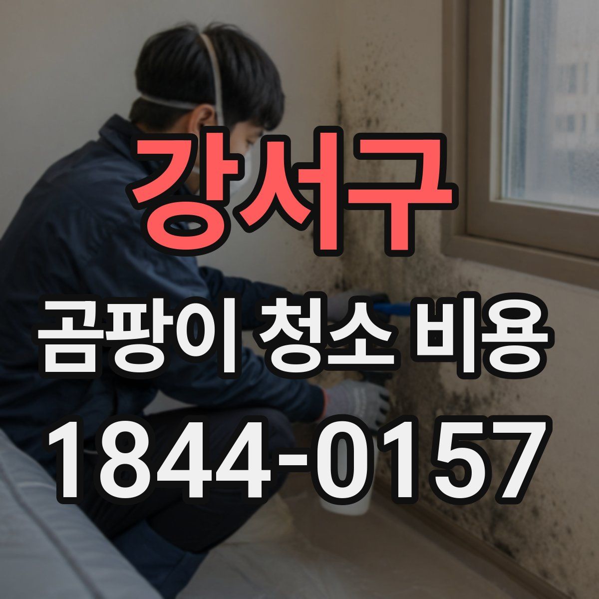 강서구 곰팡이 청소 비용