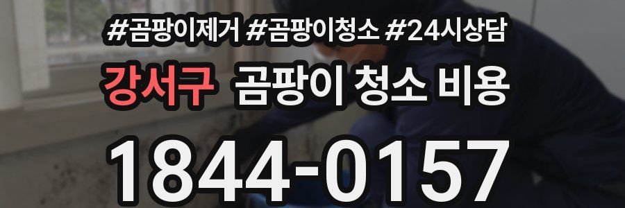 강서구 곰팡이 청소 비용