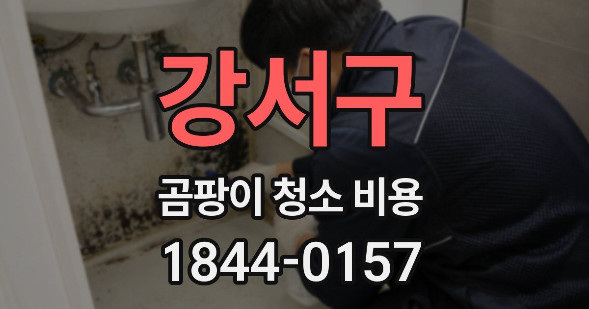 강서구 곰팡이 청소 비용