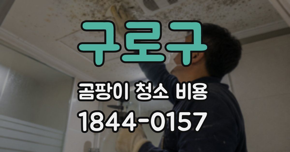 구로구 곰팡이 청소 비용