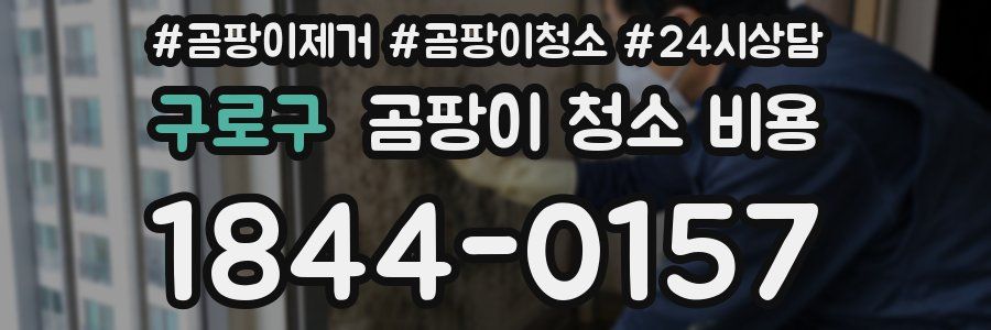 구로구 곰팡이 청소 비용