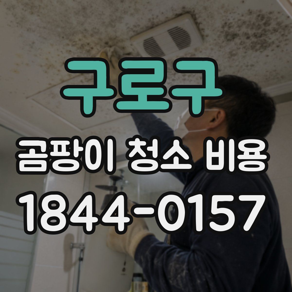구로구 곰팡이 청소 비용