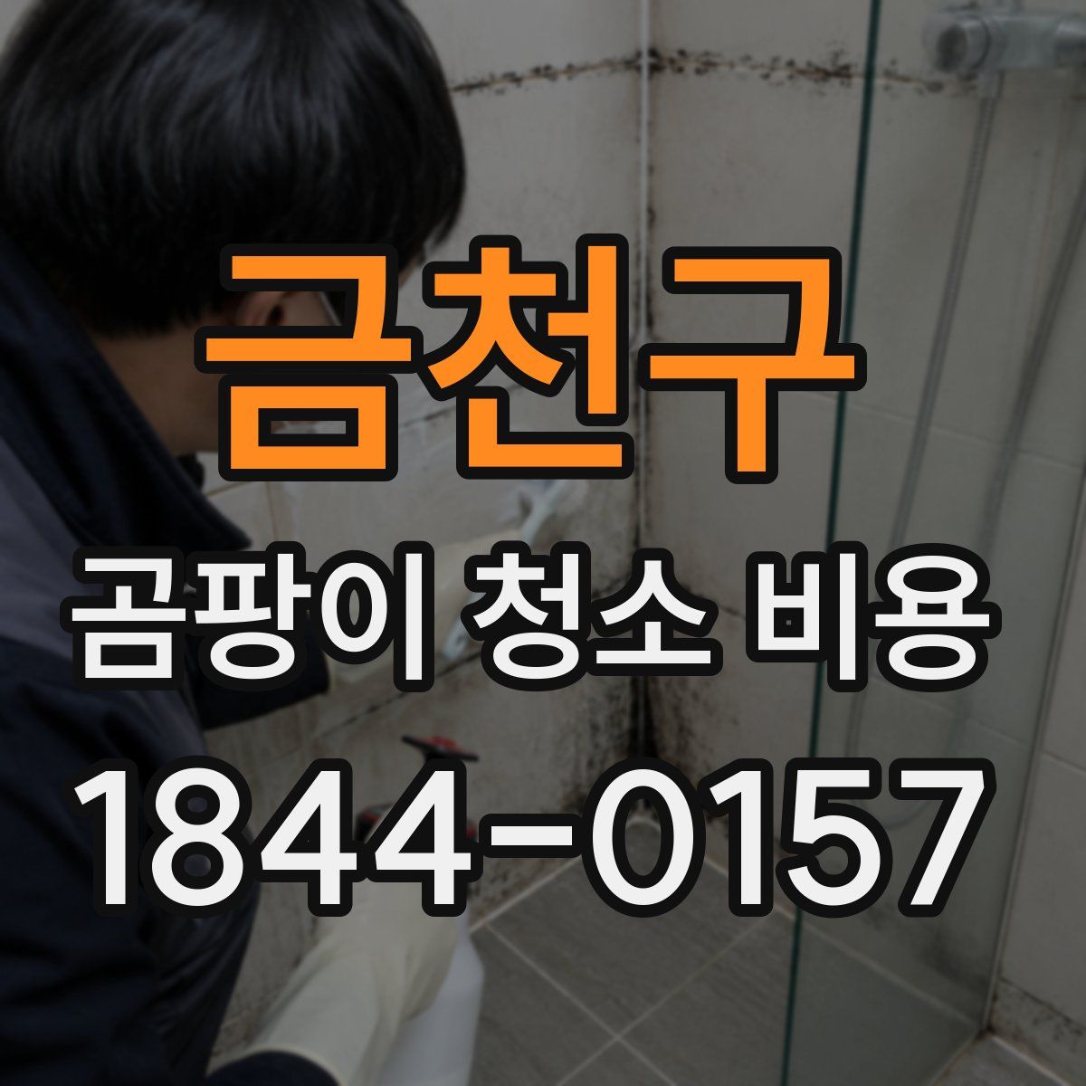 금천구 곰팡이 청소 비용