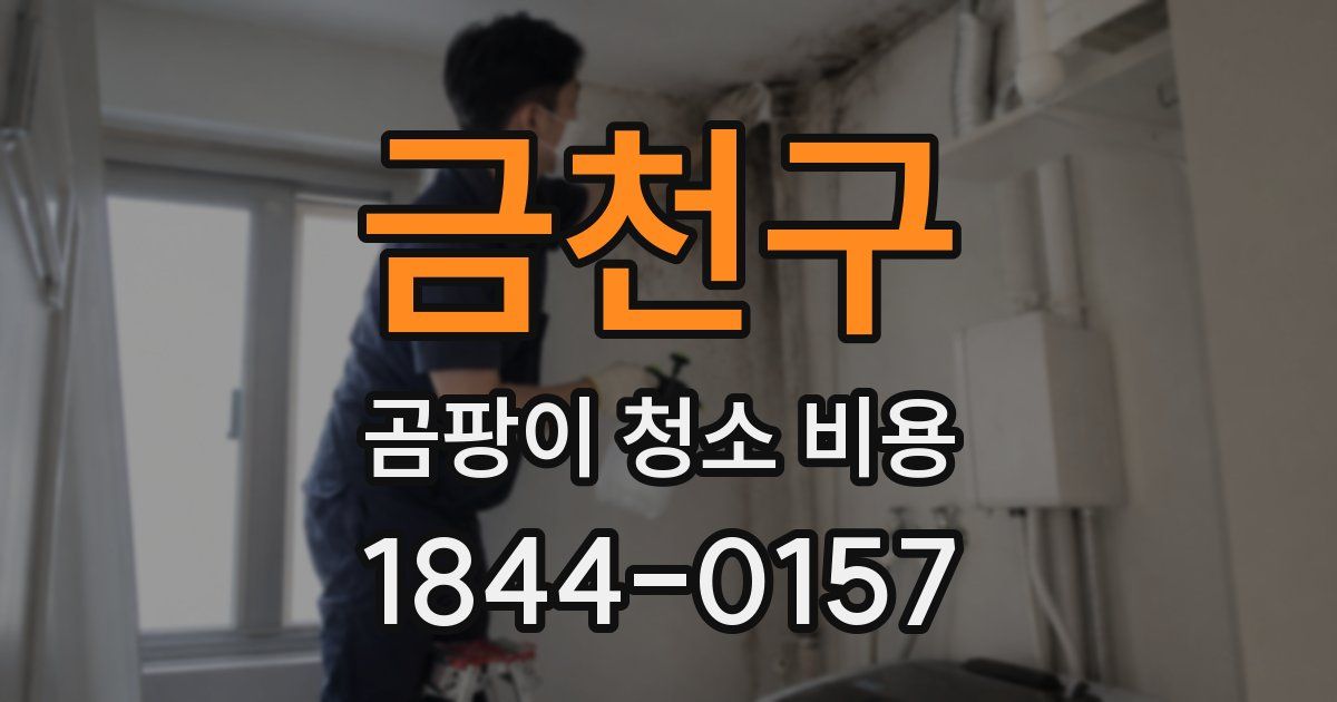 금천구 곰팡이 청소 비용