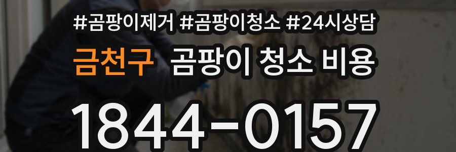 금천구 곰팡이 청소 비용