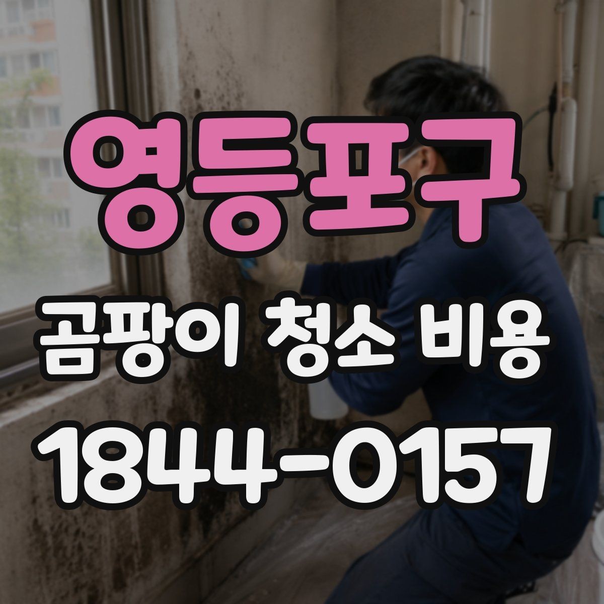 영등포구 곰팡이 청소 비용 아이 있는 집에서 안전하게 진행하는 순서
